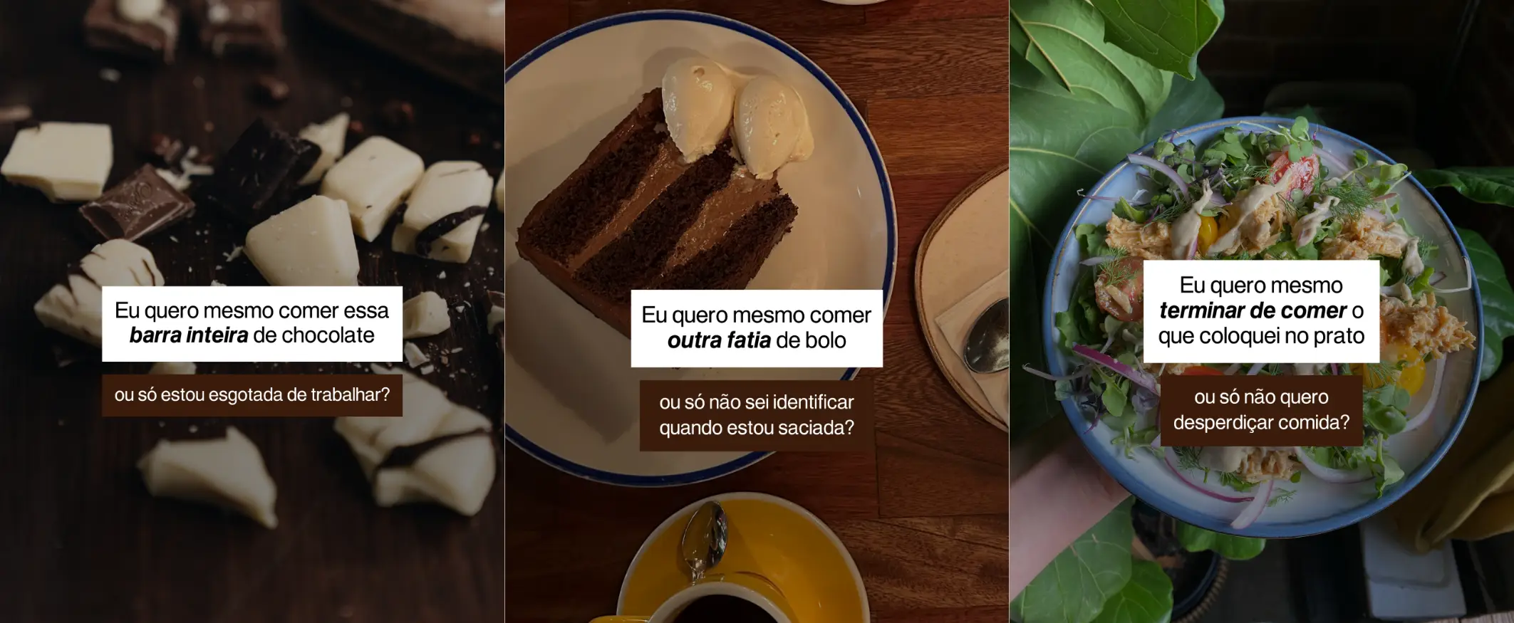 Plataforma NutriClub 59 13 copiar