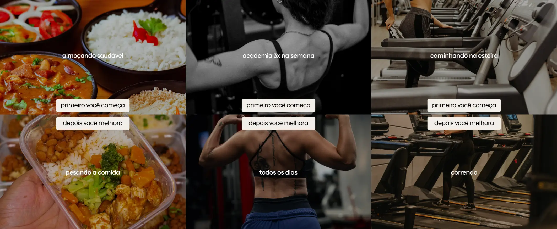 Plataforma NutriClub 53 7 copiar
