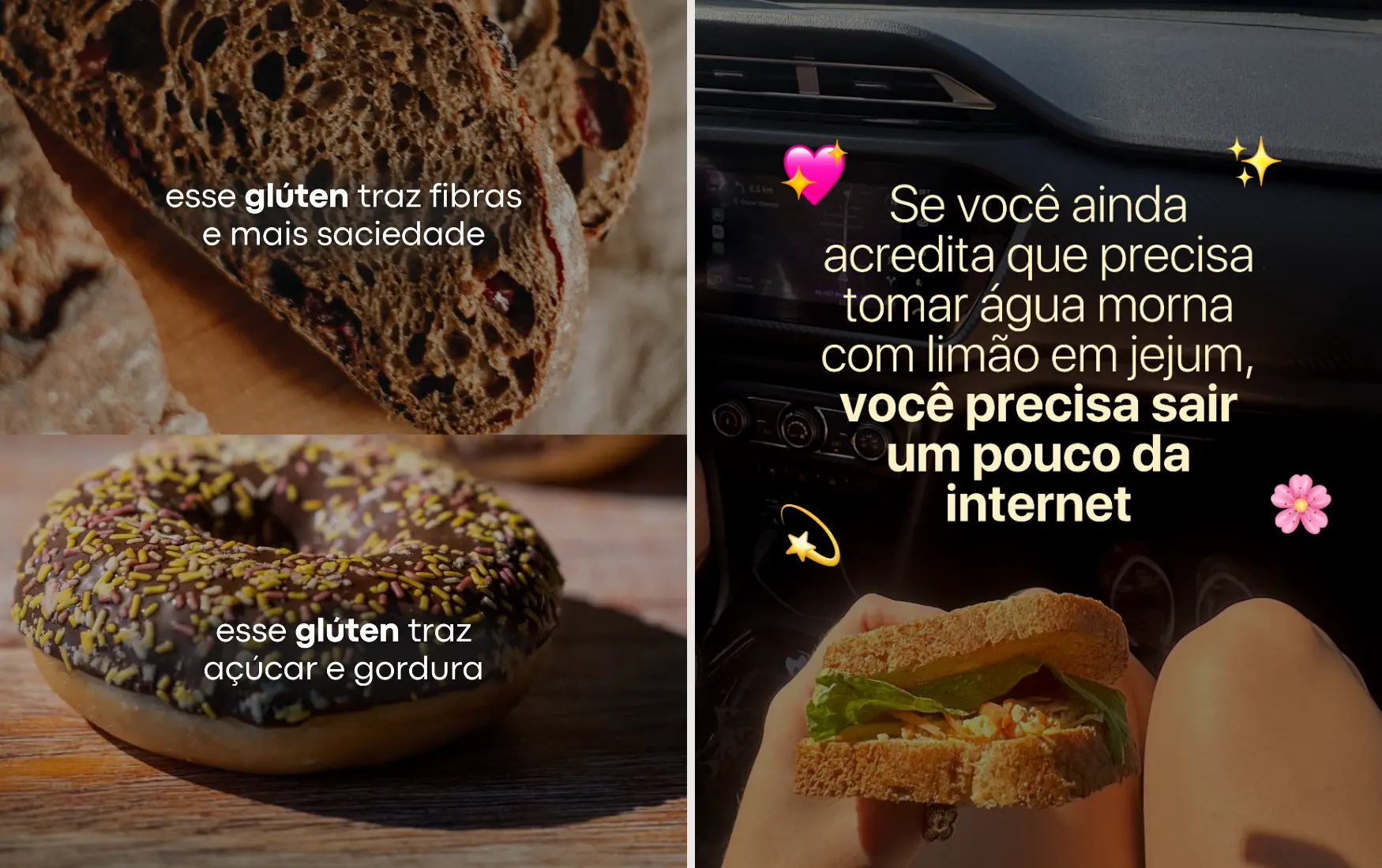 Plataforma NutriClub 62 2